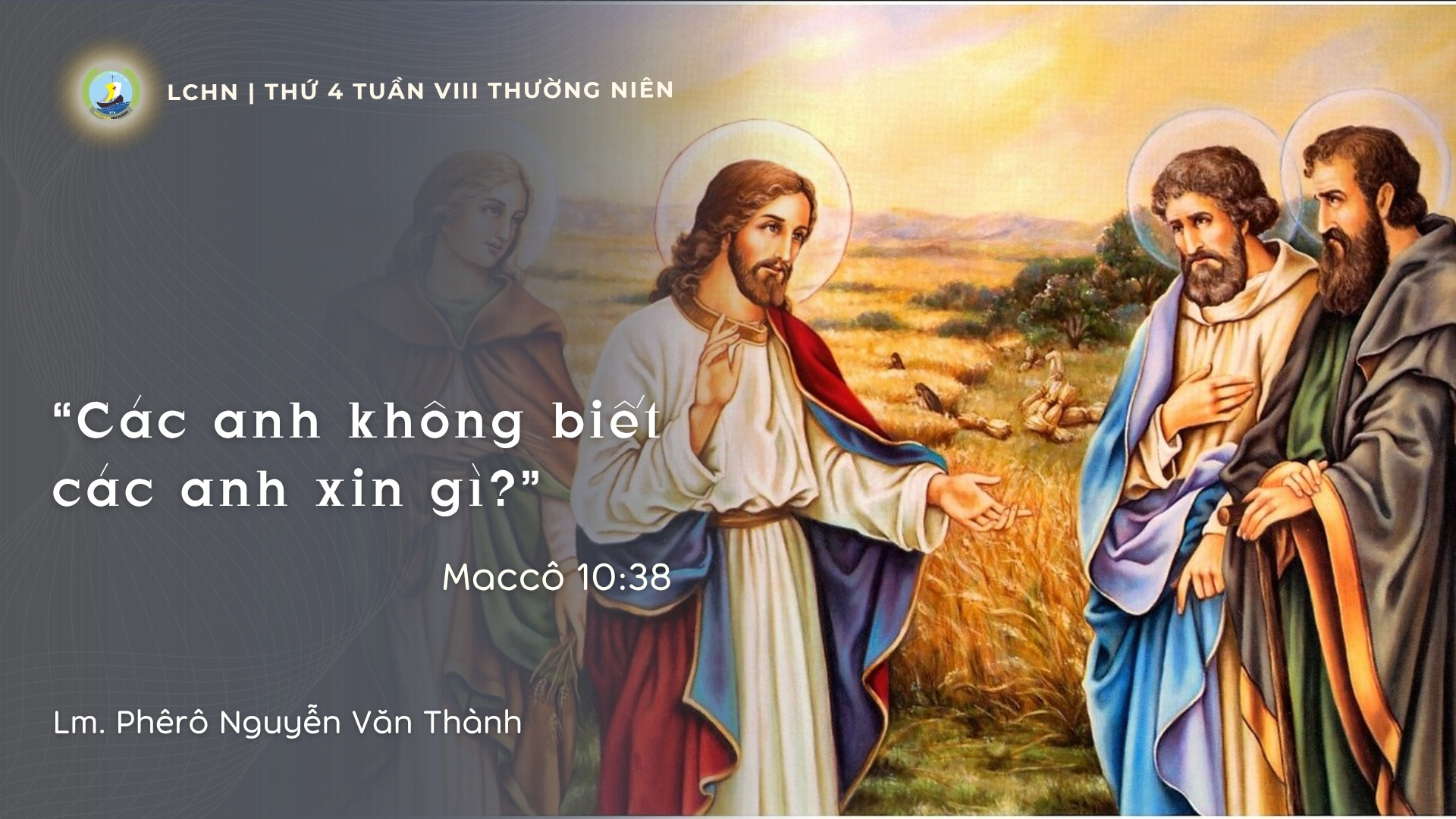 Suy Niệm Lời Chúa Hằng Ngày | Thứ Tư Tuần VIII Mùa Thường niên